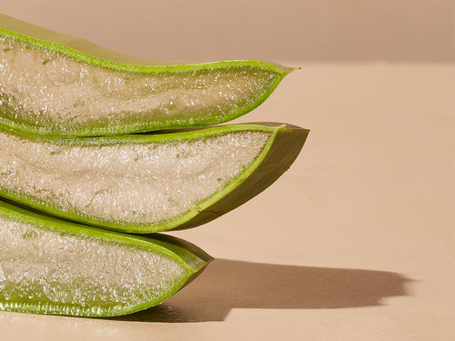 ALOE-VERA - Mustela Benelux - 1