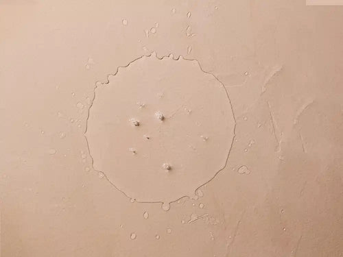 Micellair water zonder spoelen Bio gecertificeerd - Mustela Belgium - 2