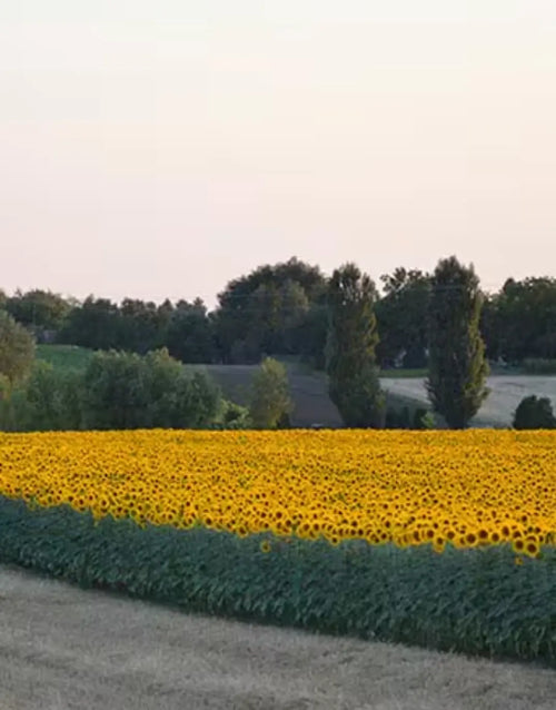 Capture_d_ecran_2024-07-15_a_14 - Mustela Benelux - 1