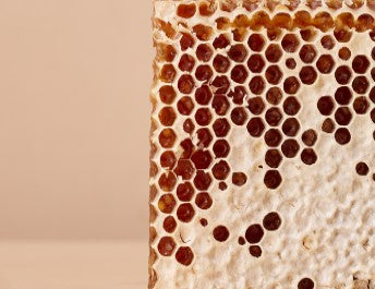 cire-abeille - Mustela Benelux - 1